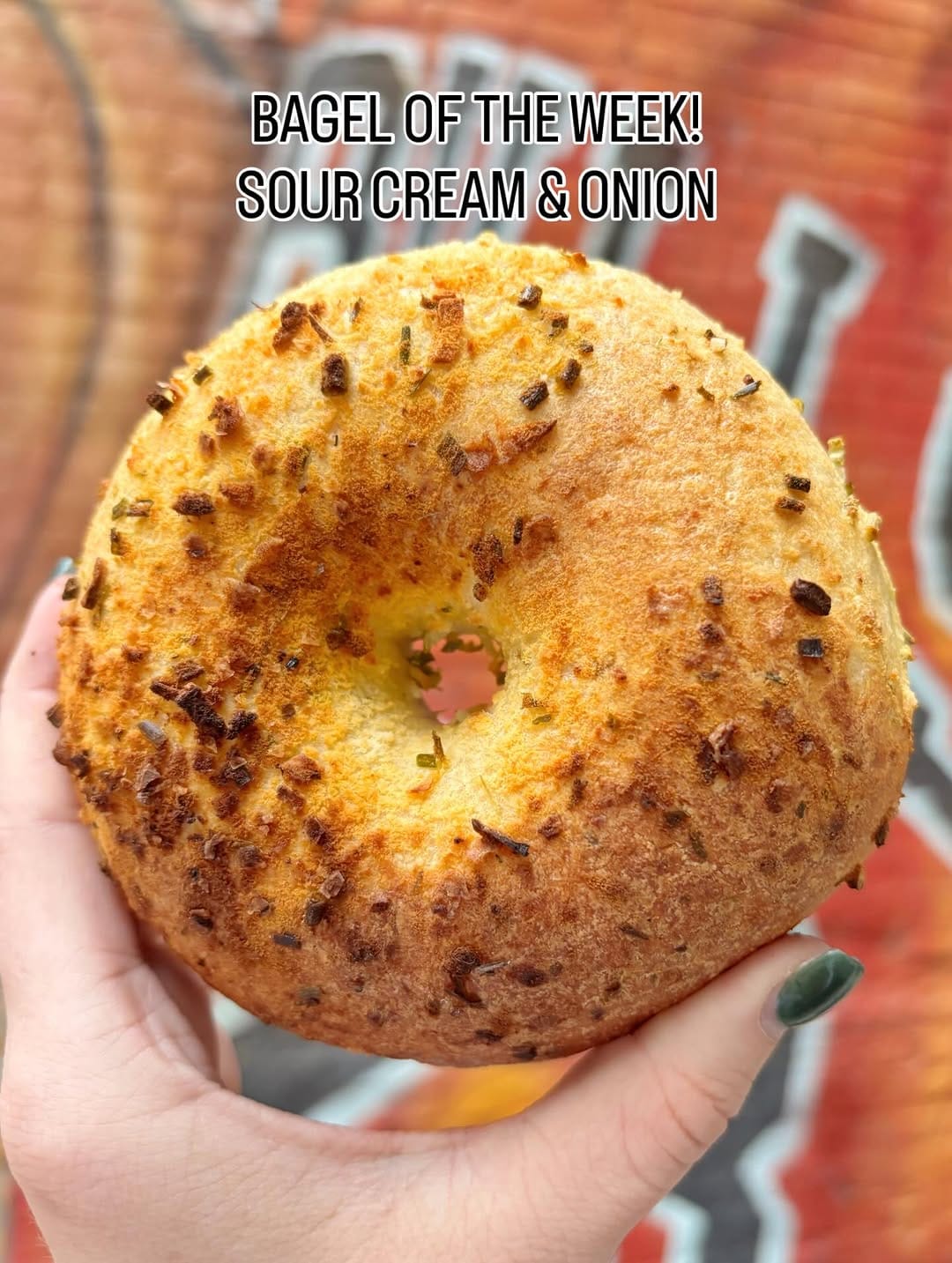 Post 10 by Tilly Bagel Shop on Instagram (image)