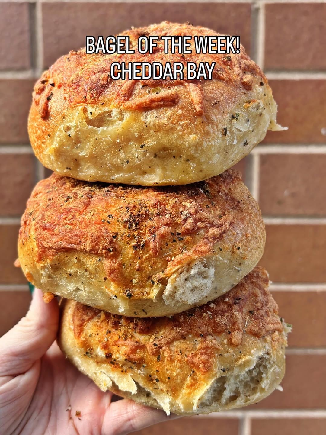 Post 4 by Tilly Bagel Shop on Instagram (image)