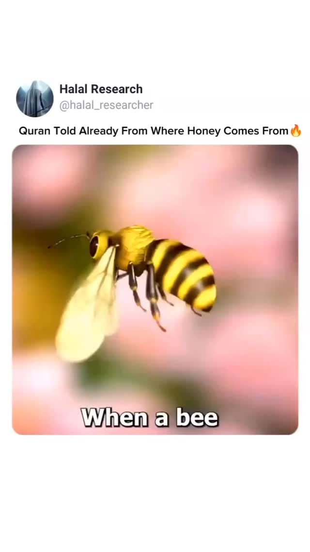 Post 5 by Mujeza Honey Australia on Instagram (video)