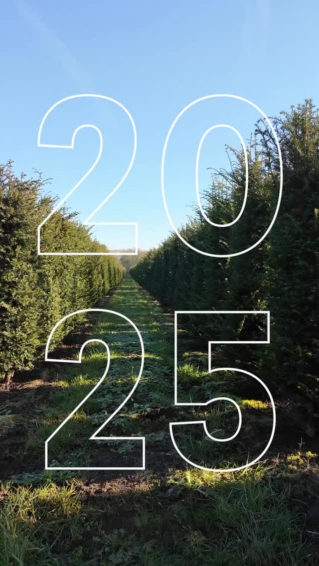 Post 9 by Form Plants Ltd on Instagram (video)