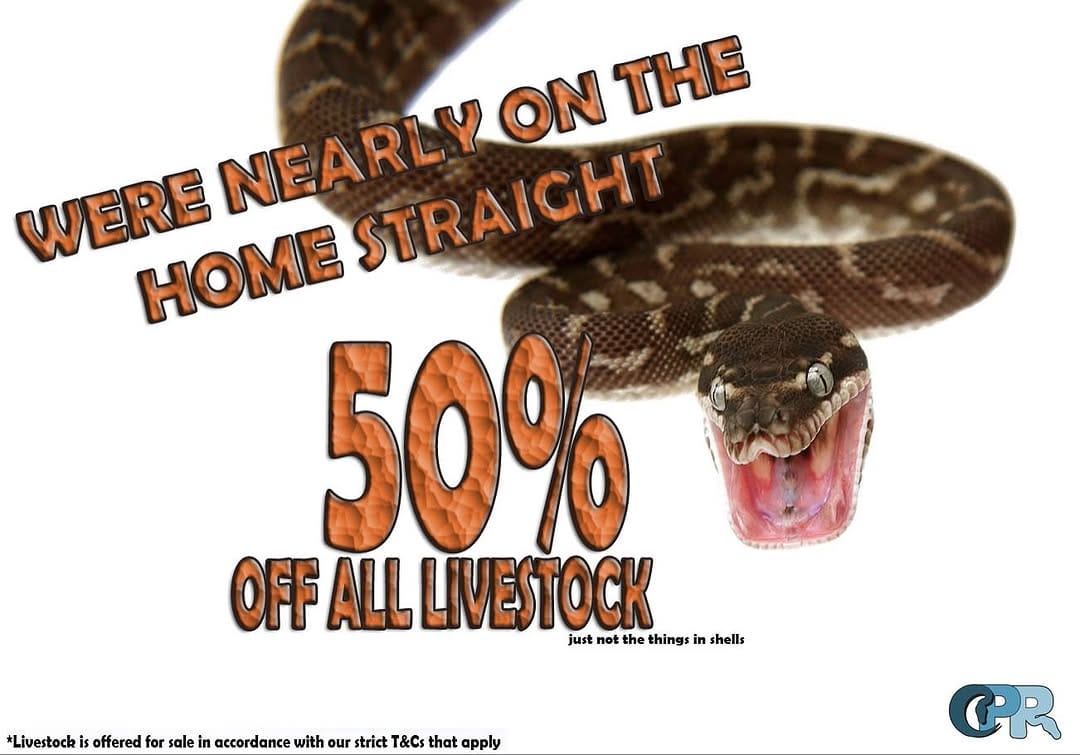 Post 6 by Crystal Palace Reptiles on Instagram (image)