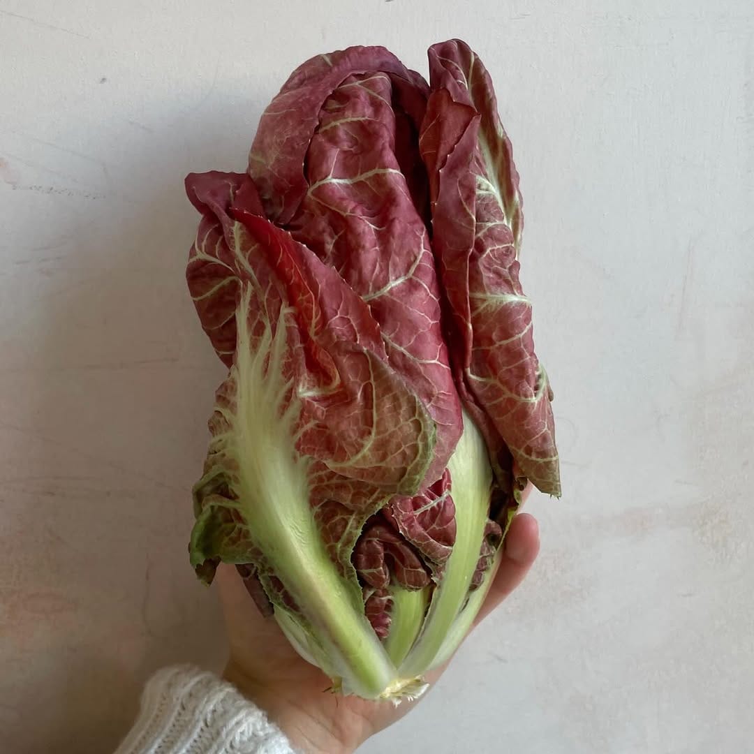 Post 2 by Momma’s Grocery + Wine on Instagram (image)
