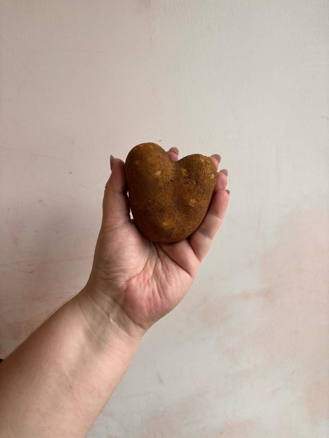 Post 7 by Momma’s Grocery + Wine on Instagram (image)
