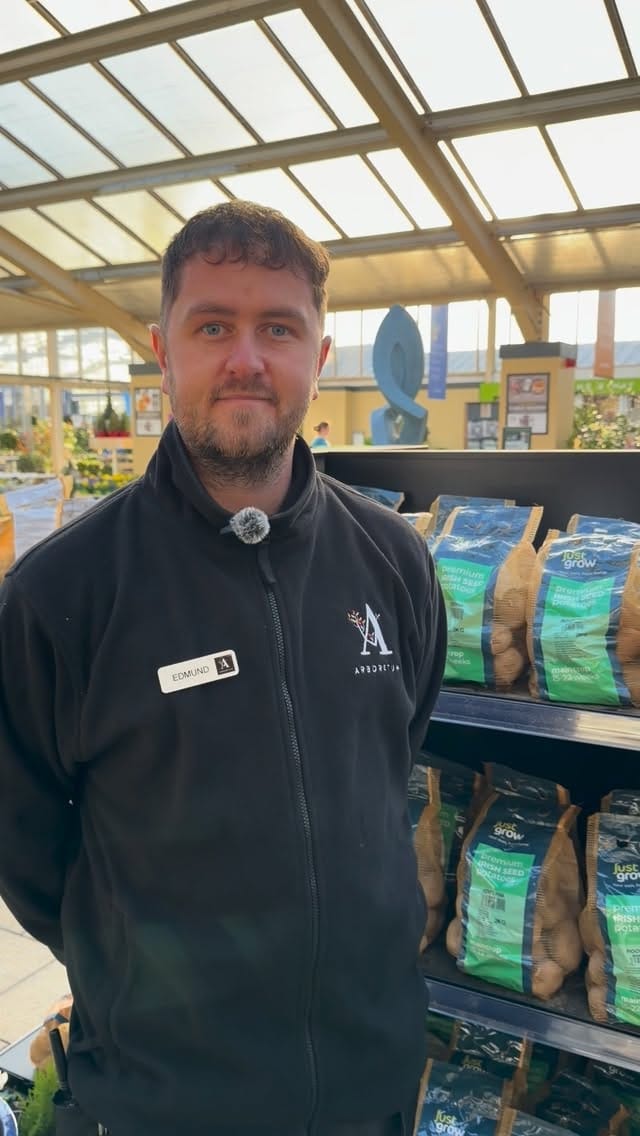 Post 4 by Arboretum Home & Garden on Instagram (video)