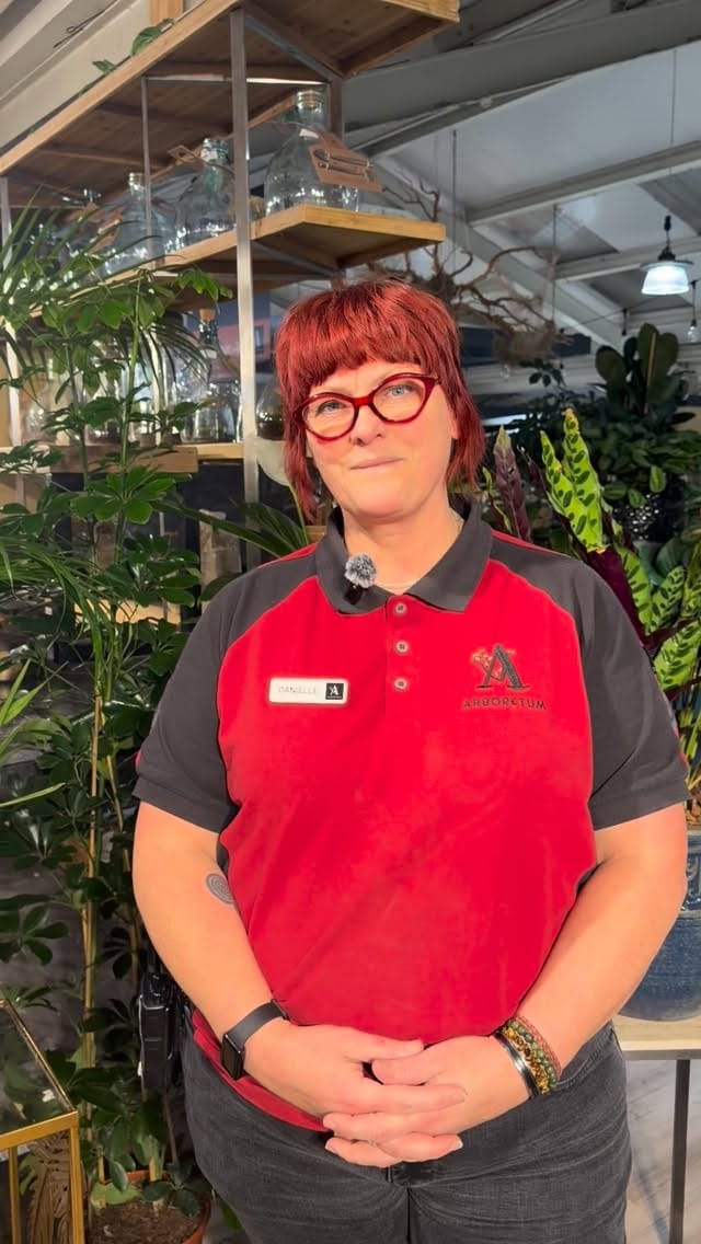 Post 3 by Arboretum Home & Garden on Instagram (video)