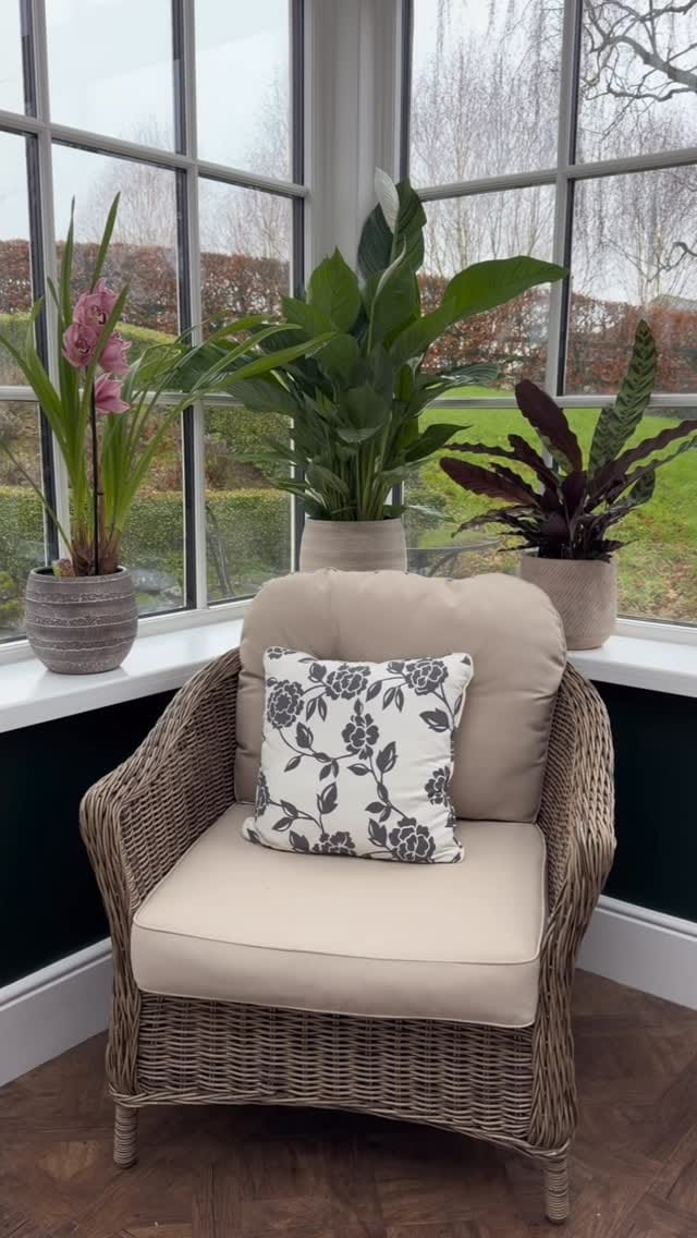 Post 5 by Arboretum Home & Garden on Instagram (video)