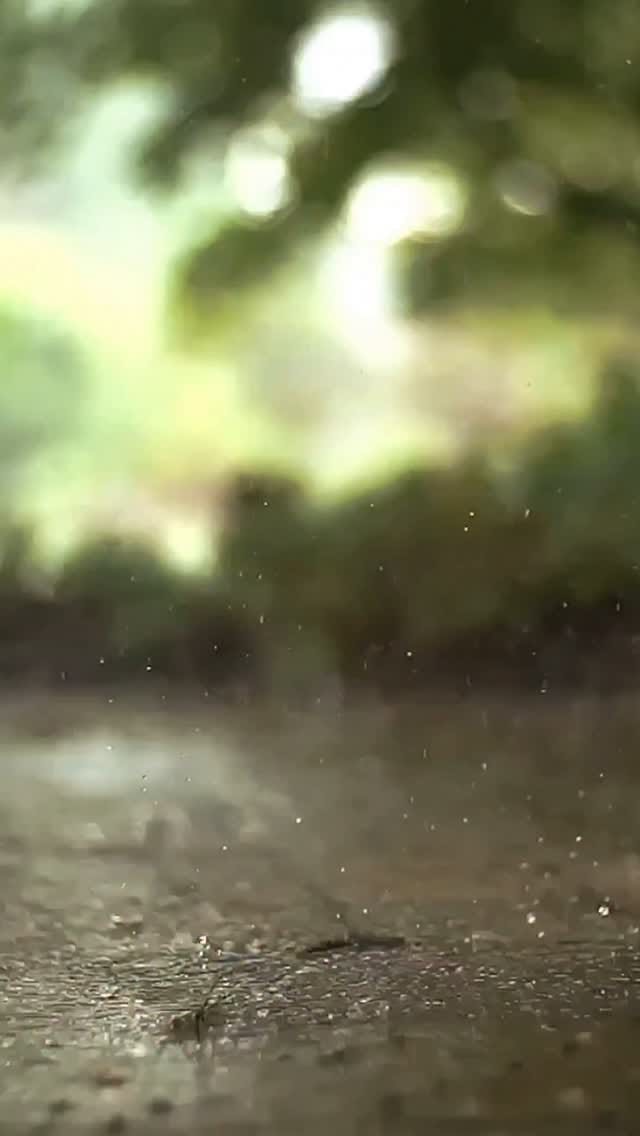 Post 9 by THE QUARTER MASTERS on Instagram (video)