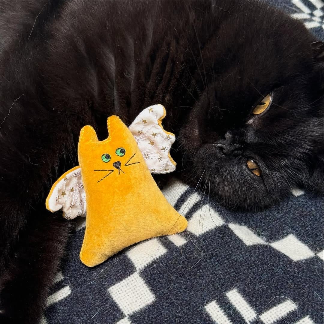 Post 8 by Freak Meowt on Instagram (image)