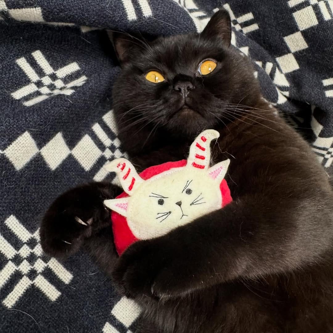 Post 9 by Freak Meowt on Instagram (carousel)