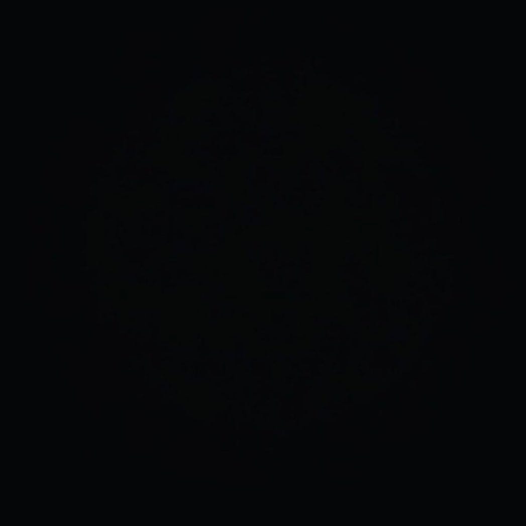 Post 4 by TreeBeard on Instagram (image)