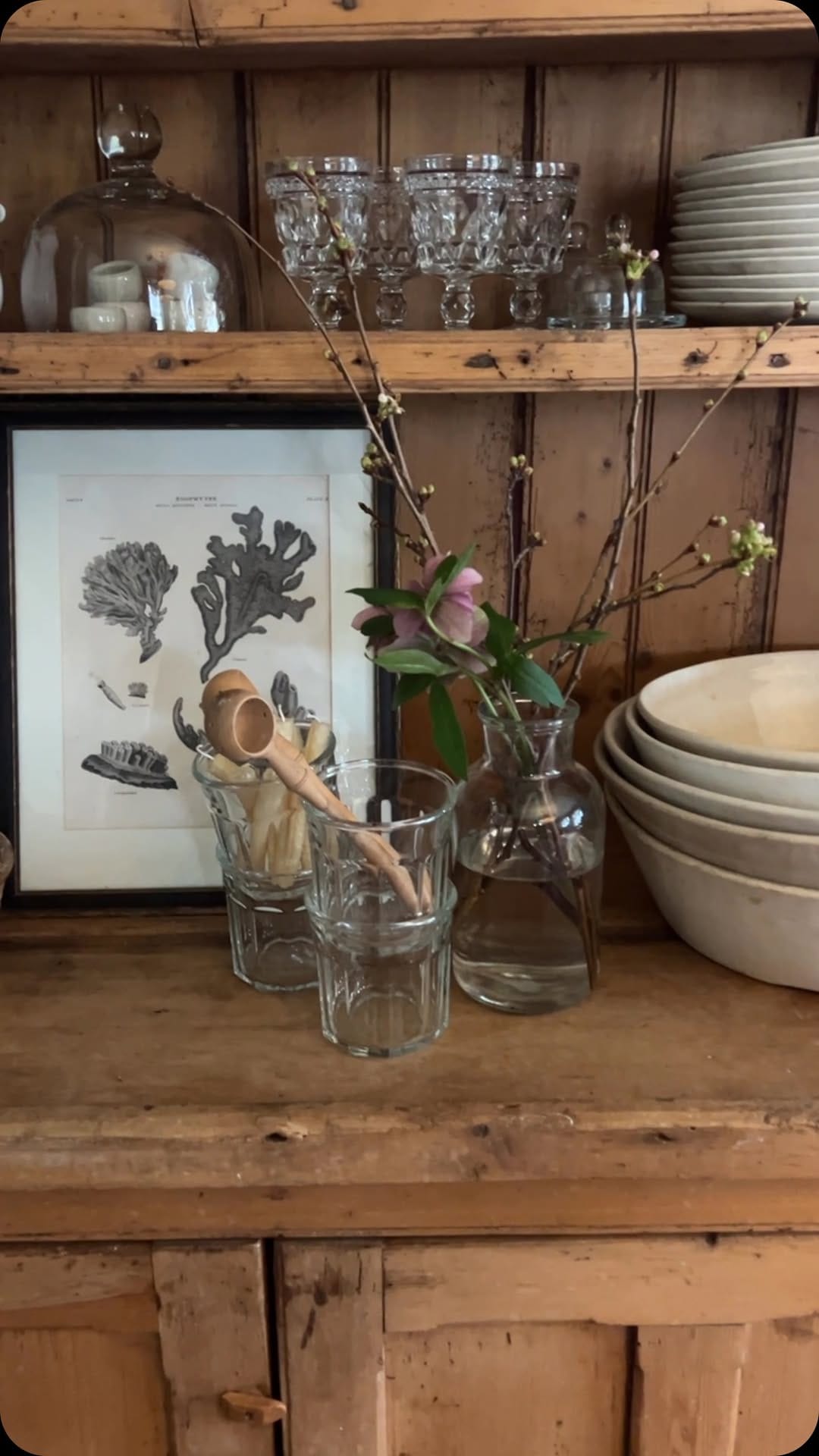 Post 8 by Emily, Spring Hill Farm on Instagram (video)
