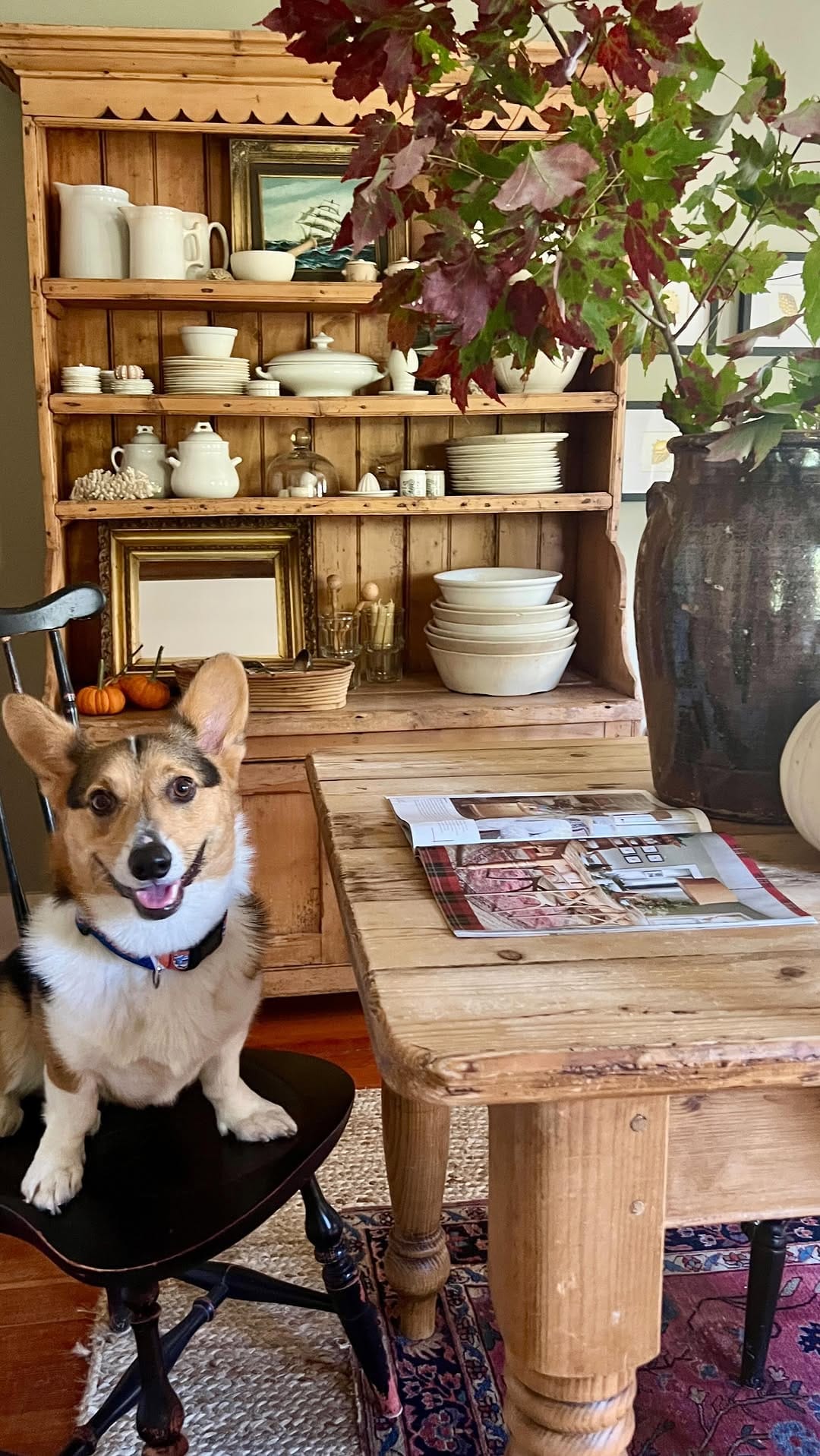 Post 10 by Emily, Spring Hill Farm on Instagram (video)