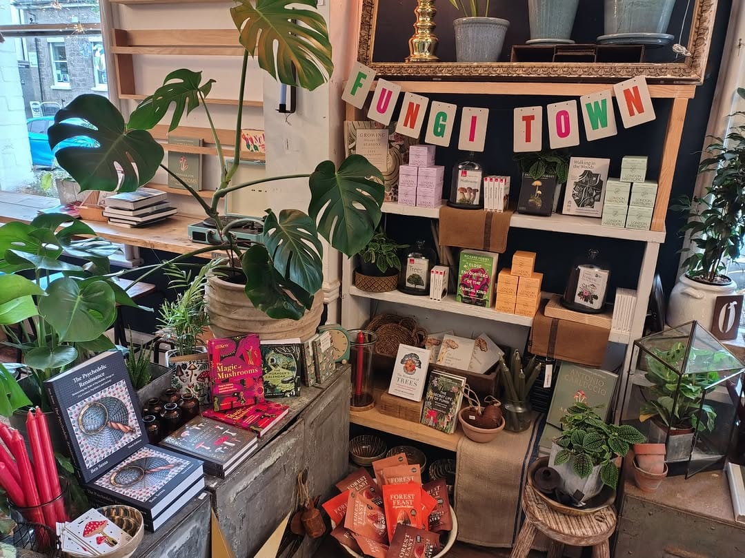 Post 9 by The Old Electric Shop on Instagram (image)