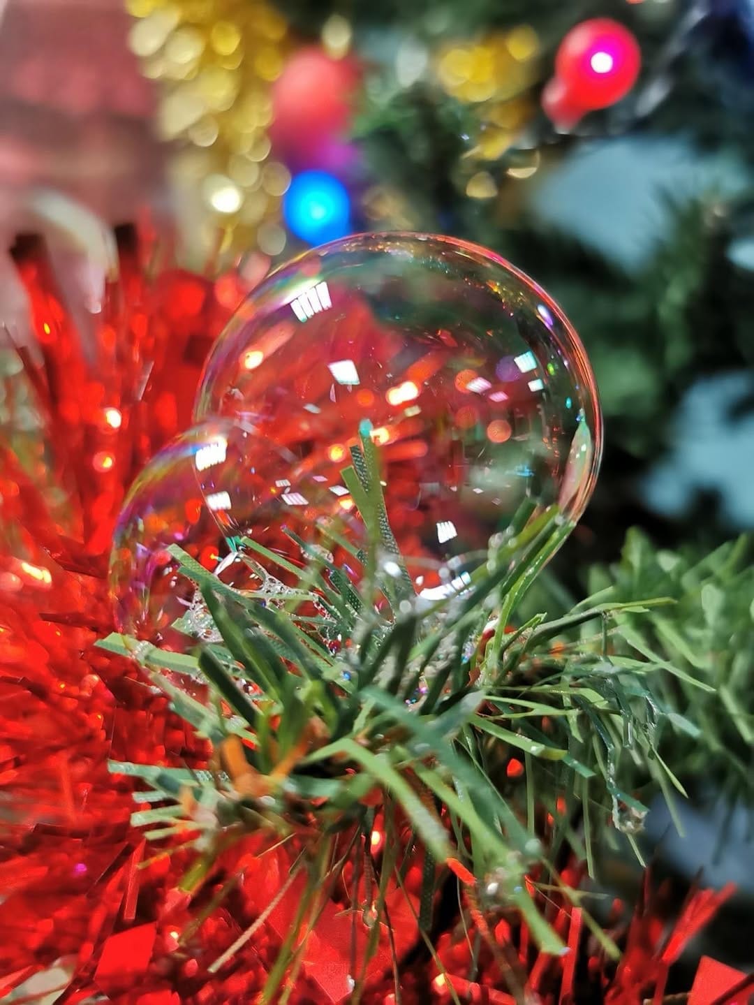 Post 8 by Eco Ethical Giant Bubble Toys on Instagram (image)