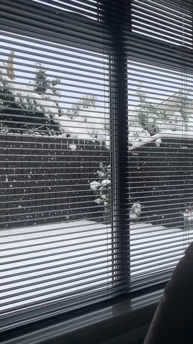 Post 1 by sue on Instagram (video)