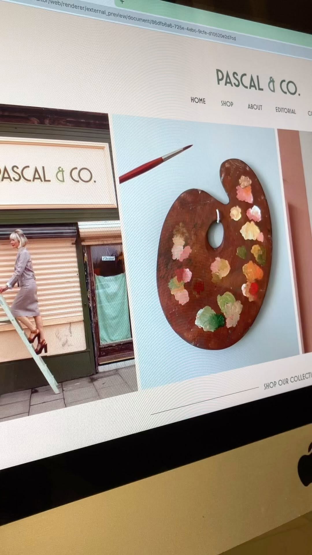 Post 10 by PASCAL & CO. on Instagram (video)