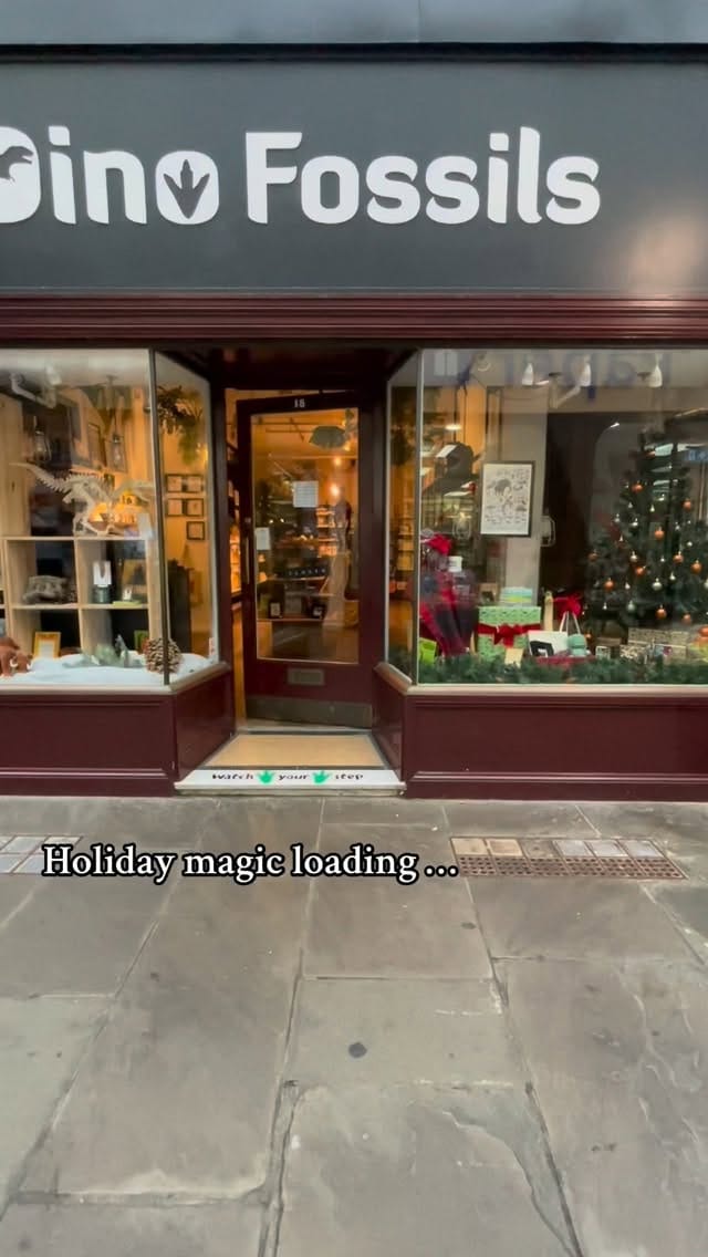 Post 7 by Dino Fossils UK on Instagram (video)