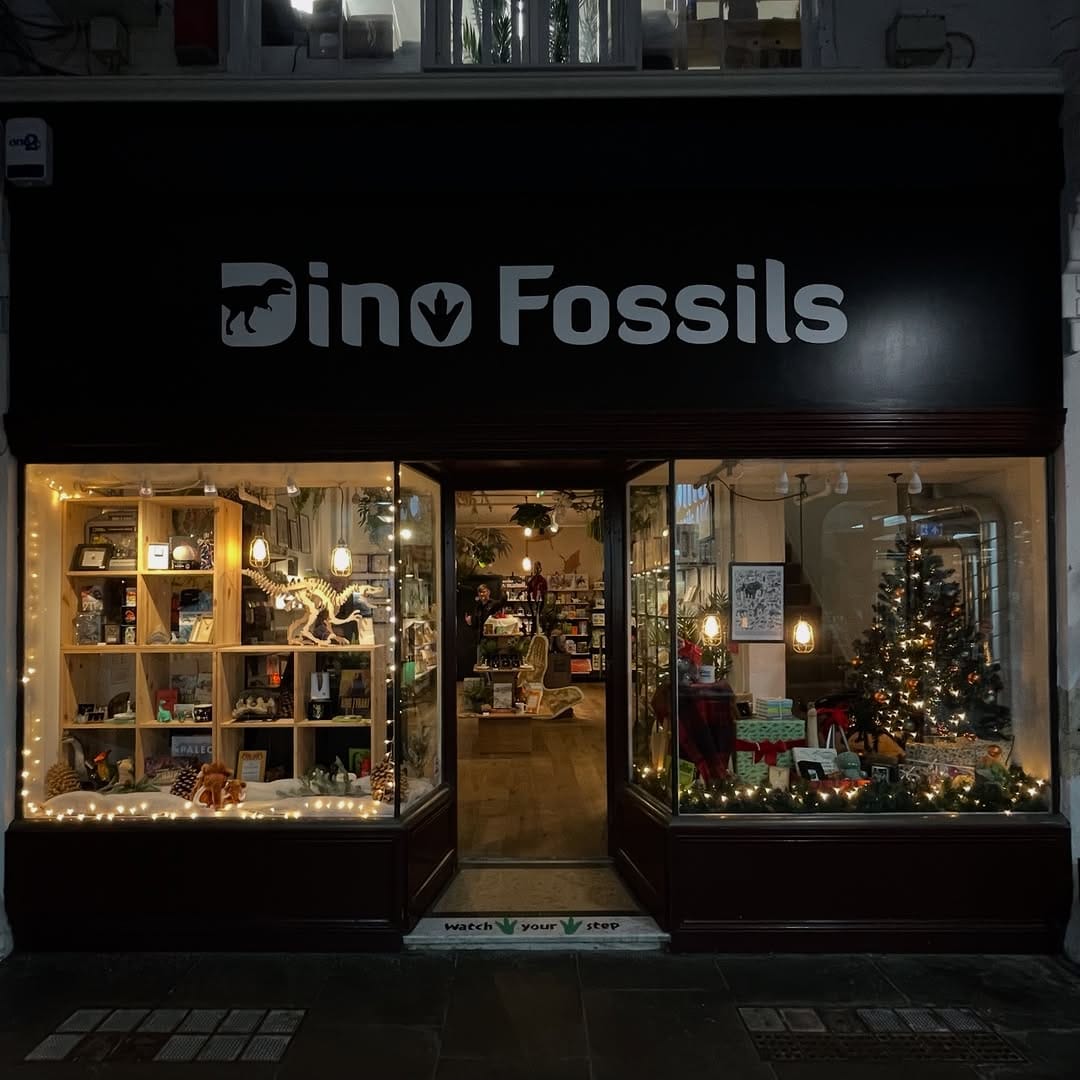 Post 2 by Dino Fossils UK on Instagram (carousel)