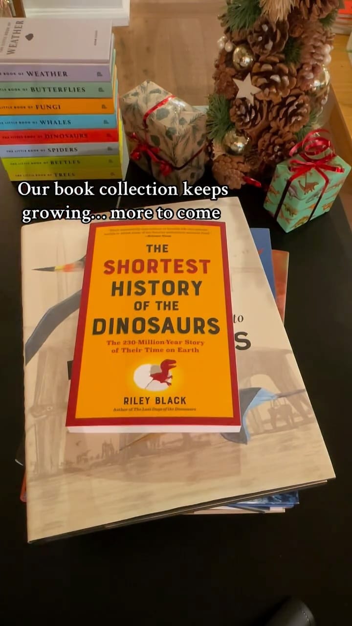 Post 6 by Dino Fossils UK on Instagram (video)