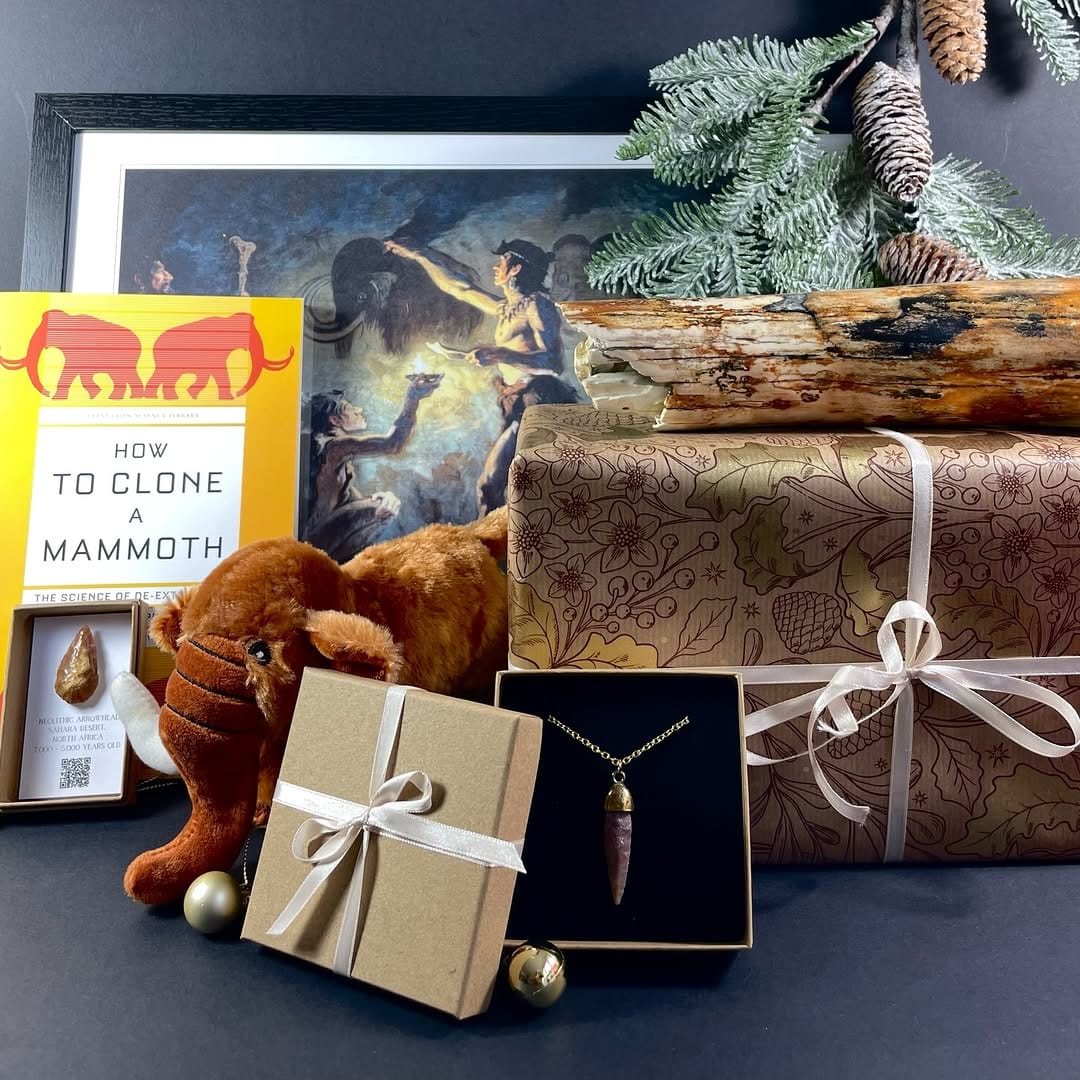 Post 4 by Dino Fossils UK on Instagram (carousel)