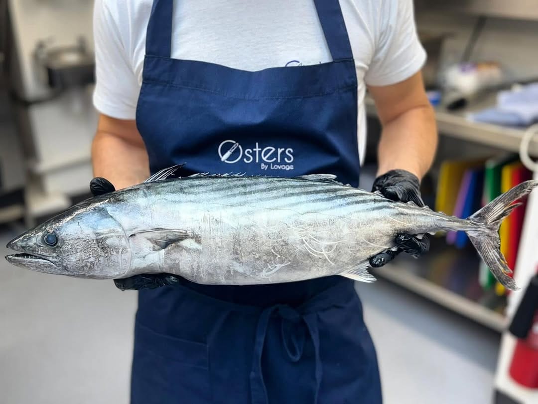 Post 5 by Hodgson Fish on Instagram (image)