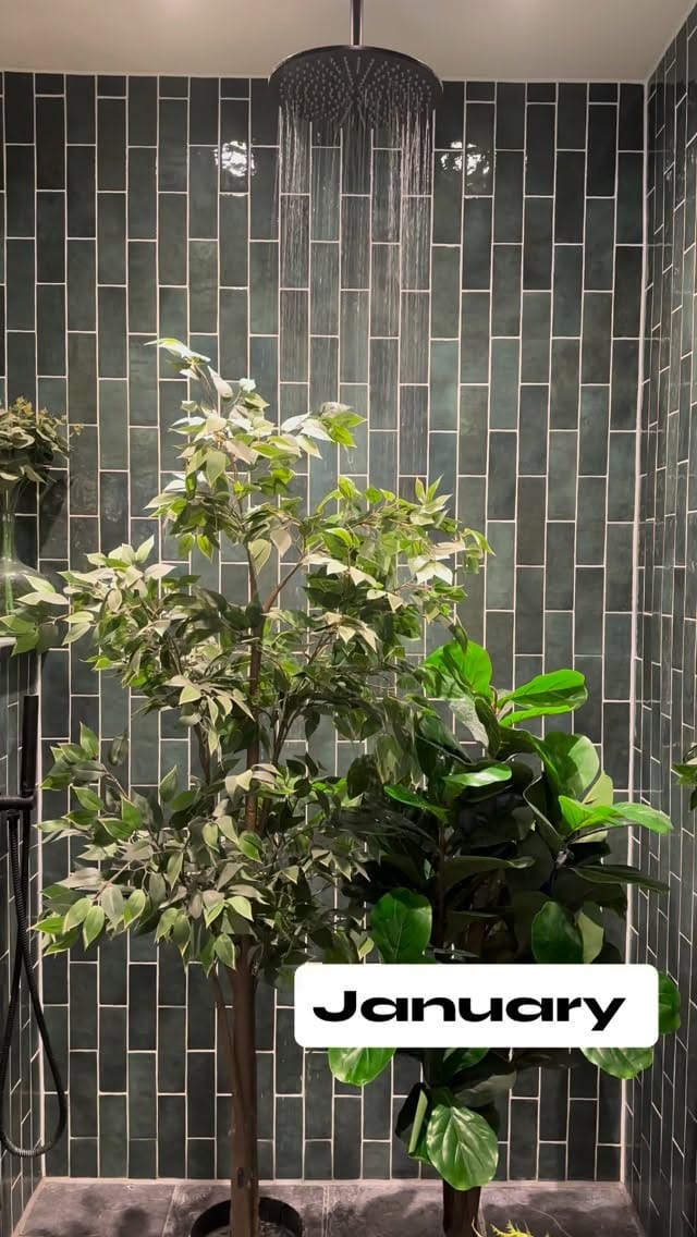 Post 4 by Anthea O’Neil on Instagram (video)