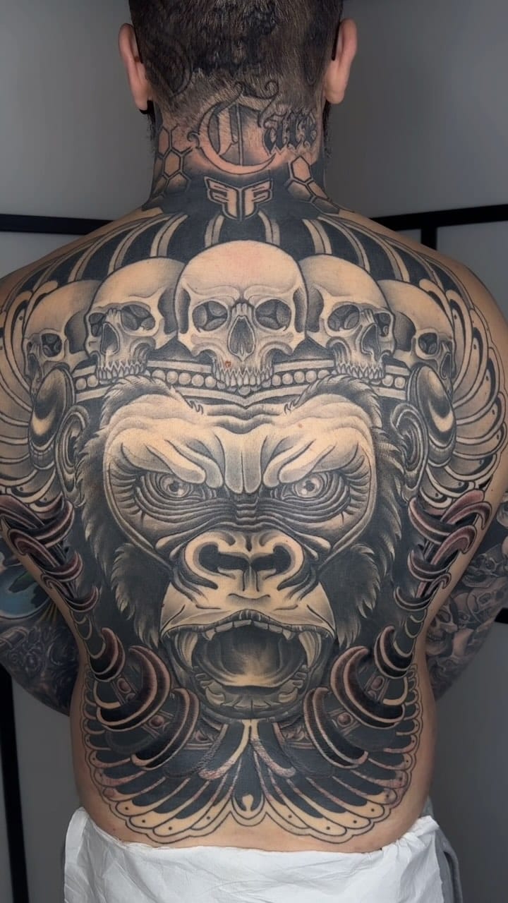 Post 9 by Tom Czerniak on Instagram (video)