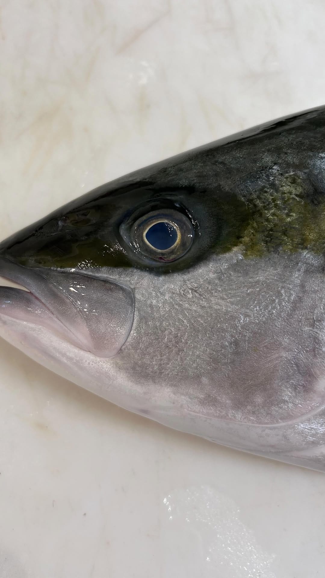 Post 4 by Moxon’s Fishmongers on Instagram (video)