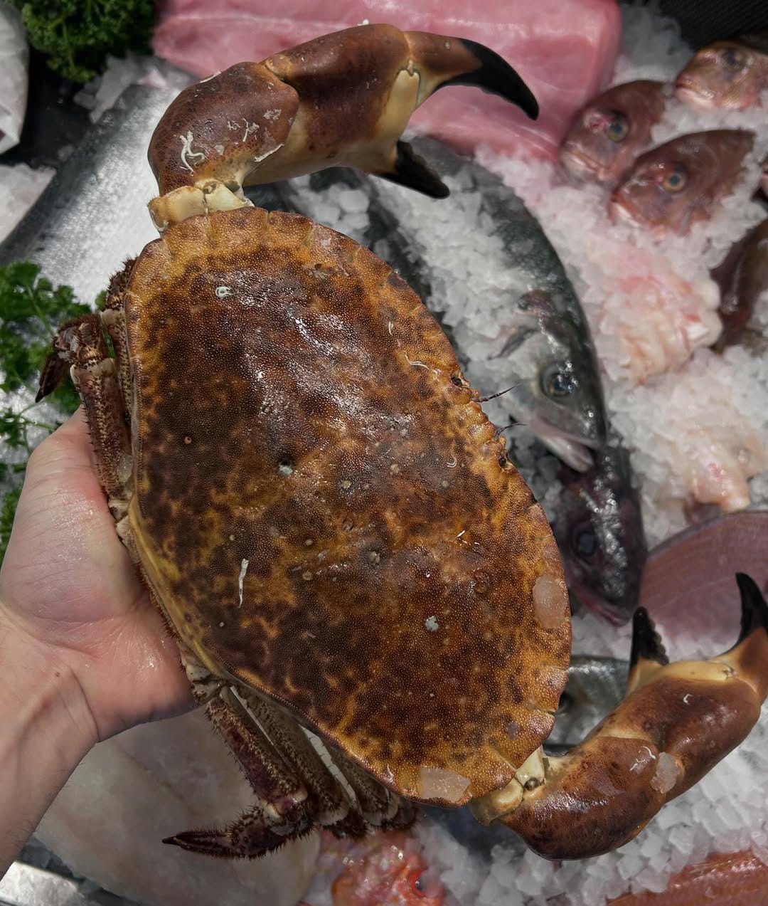 Post 2 by Moxon’s Fishmongers on Instagram (carousel)