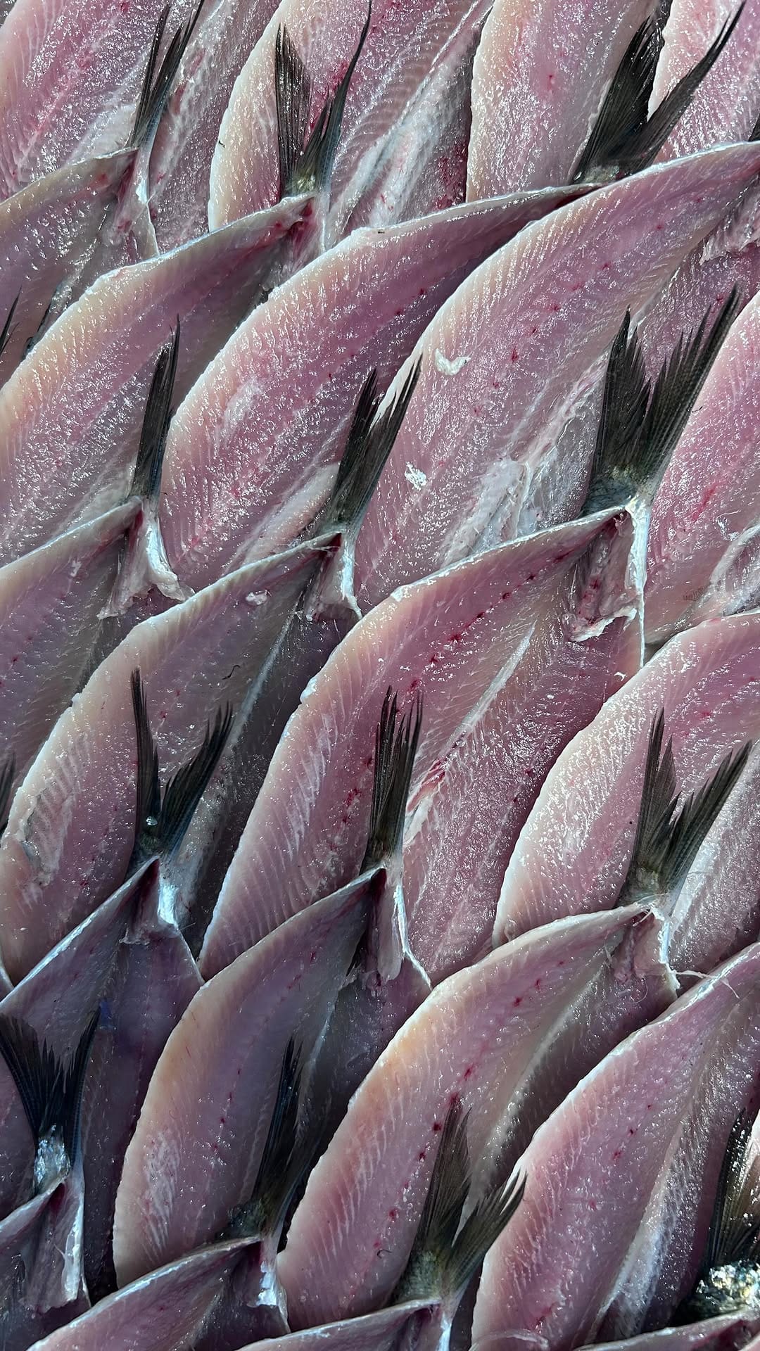 Post 9 by Moxon’s Fishmongers on Instagram (video)