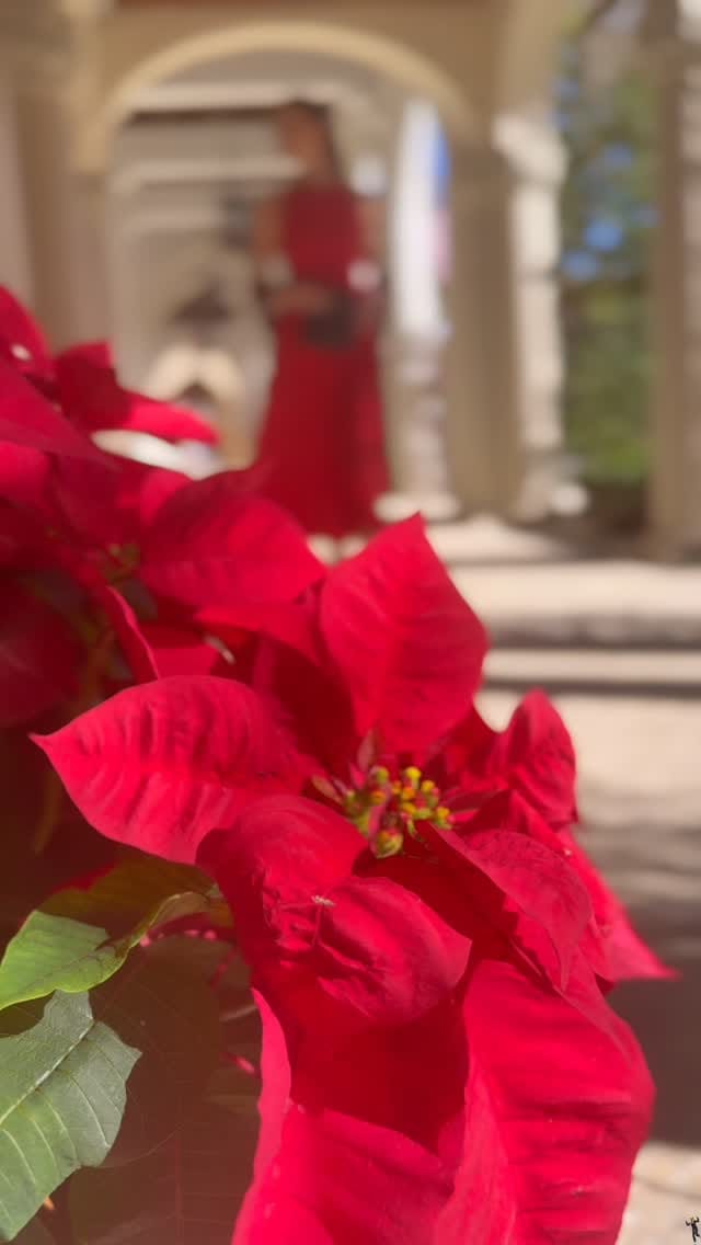 Post 10 by Island Cashmere on Instagram (video)