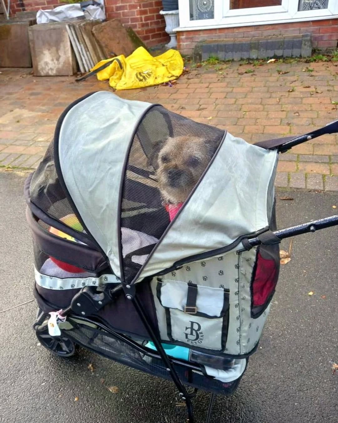 Post 2 by MisHelenEous For Home & Hound on Instagram (carousel)