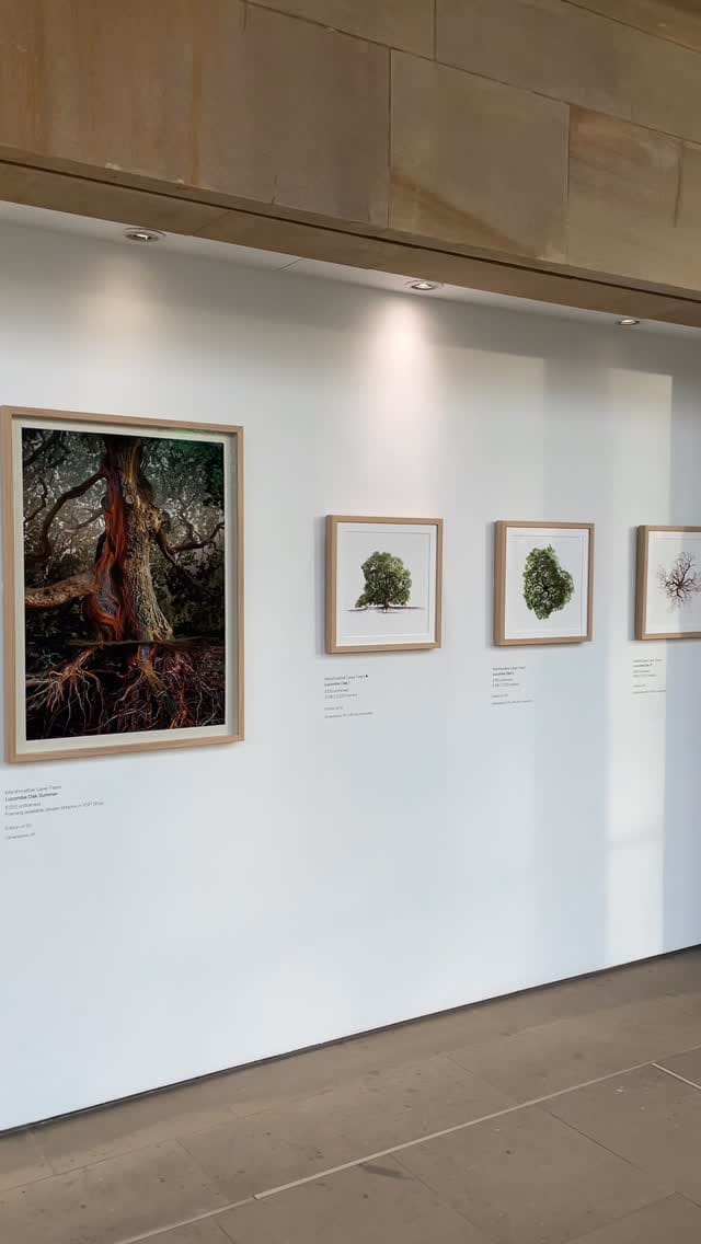 Post 5 by YSP Shops on Instagram (video)