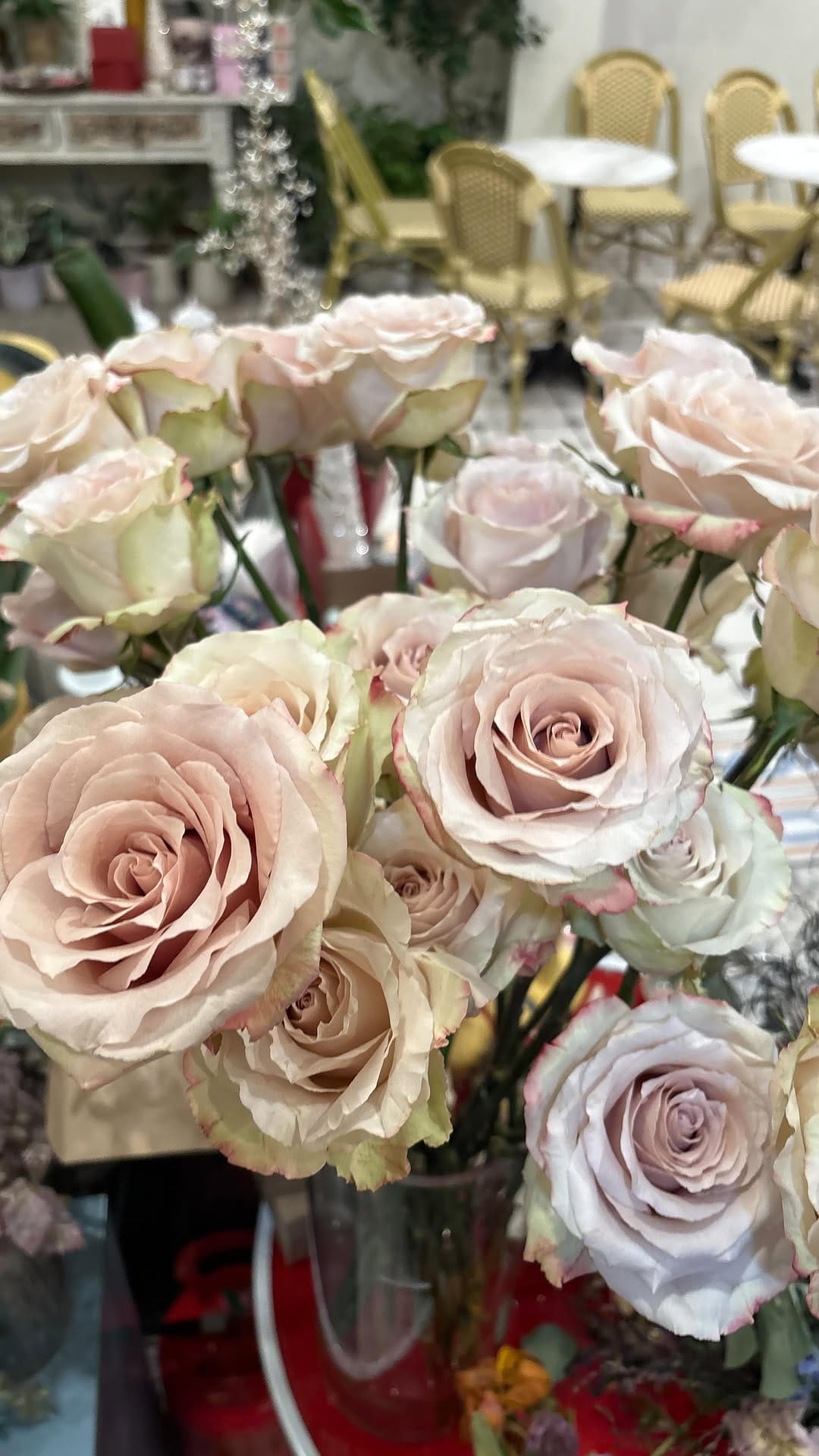 Post 10 by Ora La Casa de las Flores on Instagram (video)