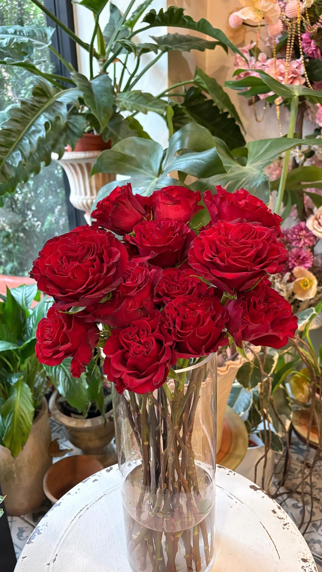 Post 1 by Ora La Casa de las Flores on Instagram (video)