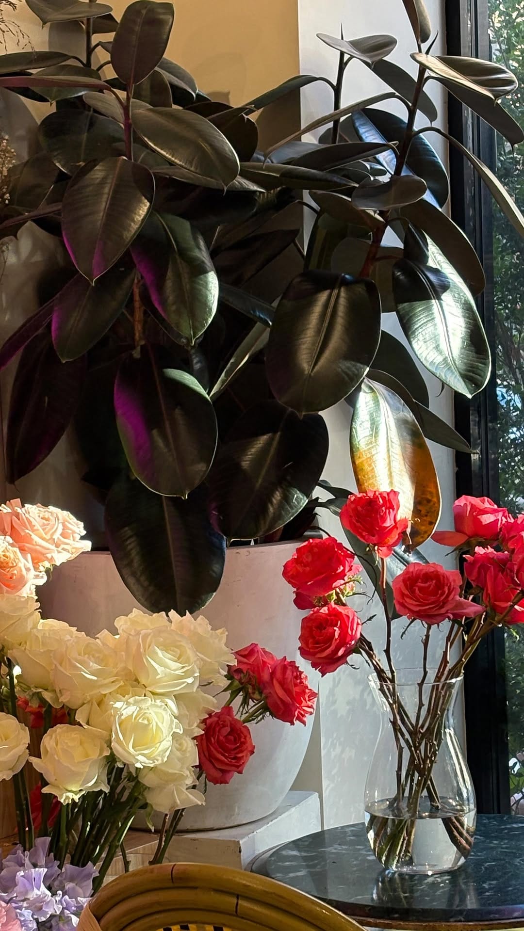 Post 6 by Ora La Casa de las Flores on Instagram (video)