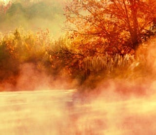 Post 9 by suna&toast on Instagram (image)