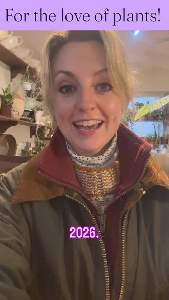 Post 7 by Holly & Nikki's Plants & Container Gardening on Instagram (video)