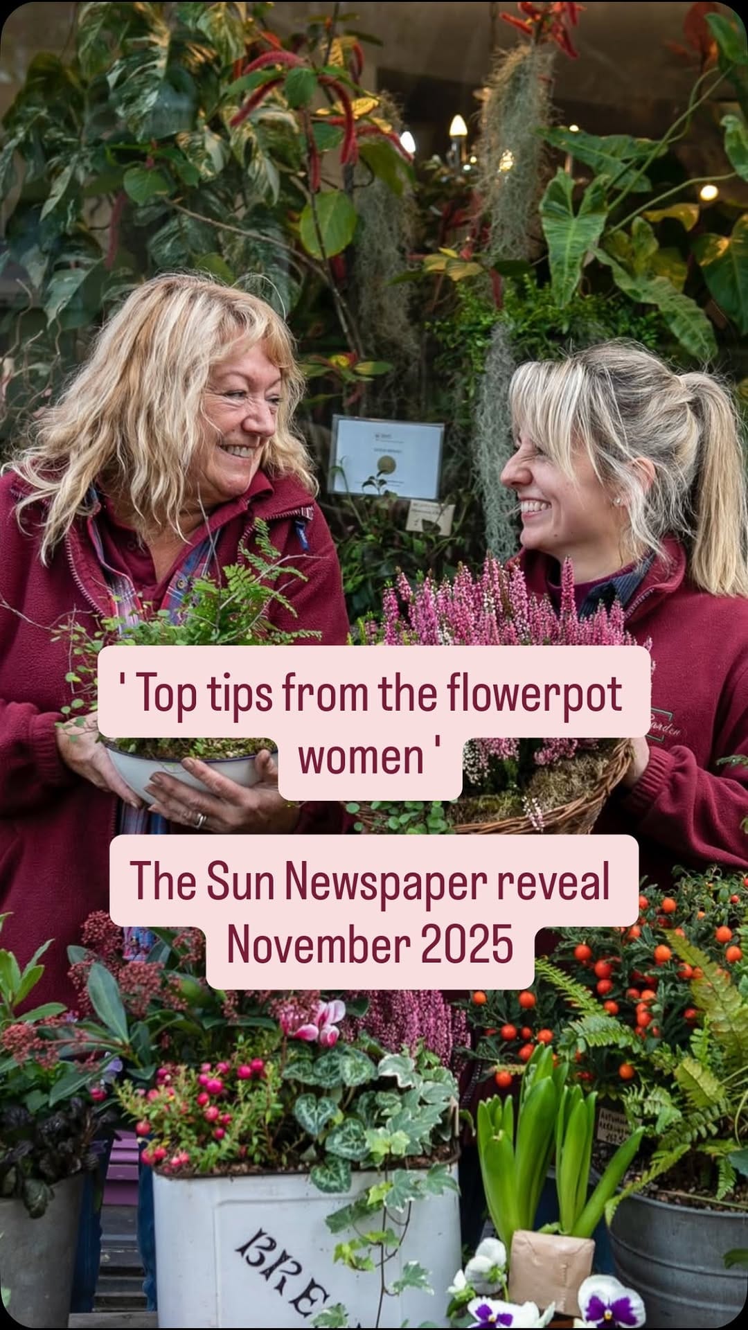 Post 8 by Holly & Nikki's Plants & Container Gardening on Instagram (video)