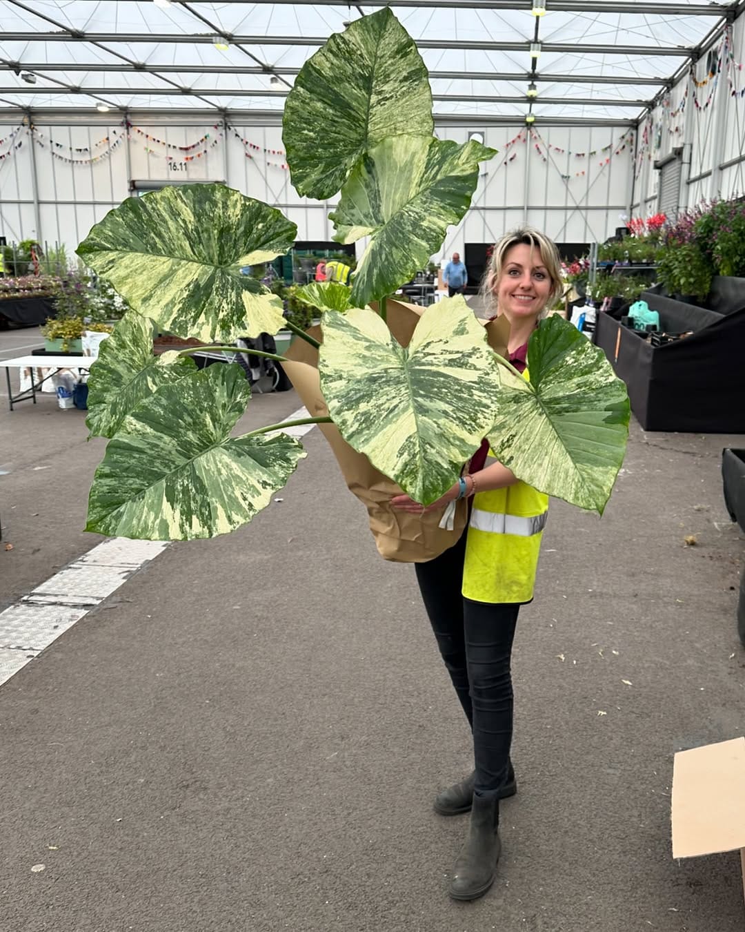Post 10 by Holly & Nikki's Plants & Container Gardening on Instagram (carousel)