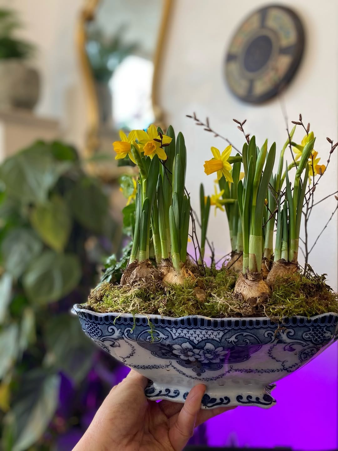 Post 5 by Holly & Nikki's Plants & Container Gardening on Instagram (image)