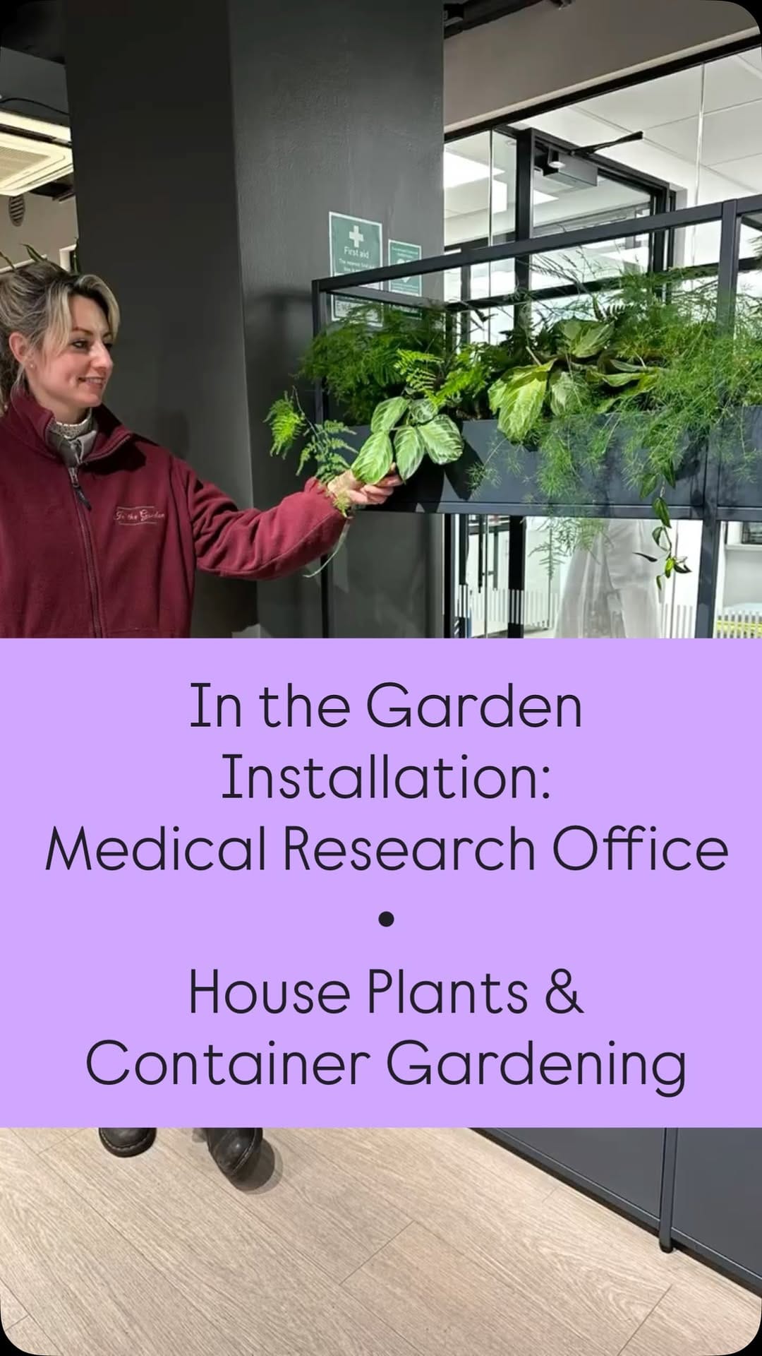 Post 6 by Holly & Nikki's Plants & Container Gardening on Instagram (video)