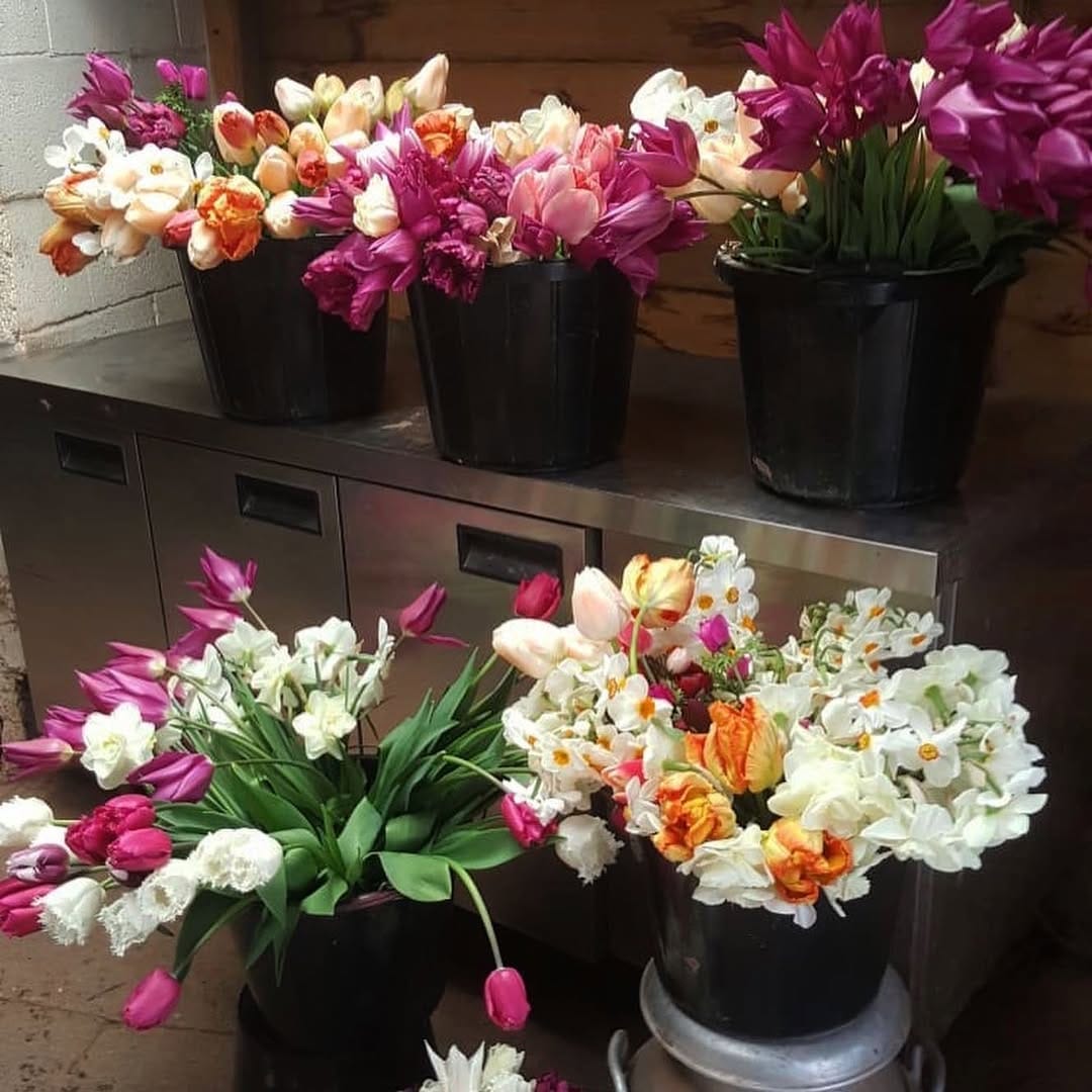 Post 9 by SPRING-TO-GO on Instagram (image)
