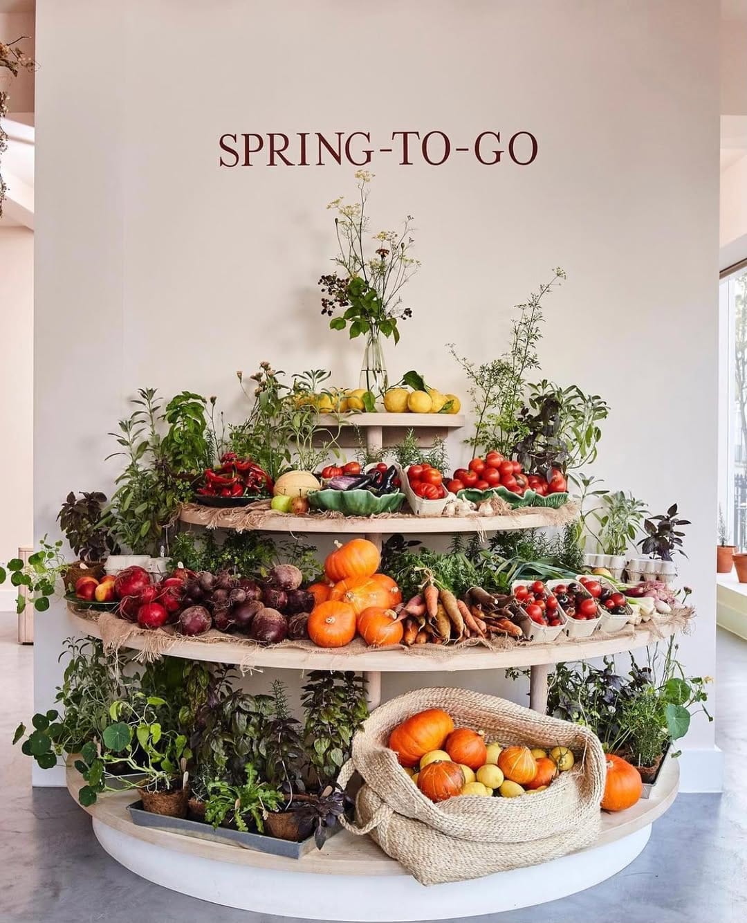 Post 3 by SPRING-TO-GO on Instagram (image)