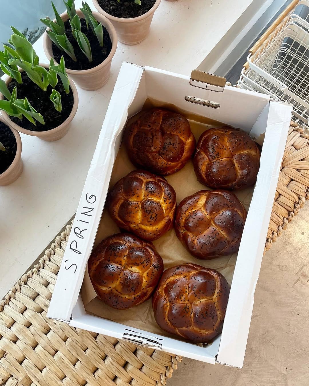 Post 10 by SPRING-TO-GO on Instagram (image)