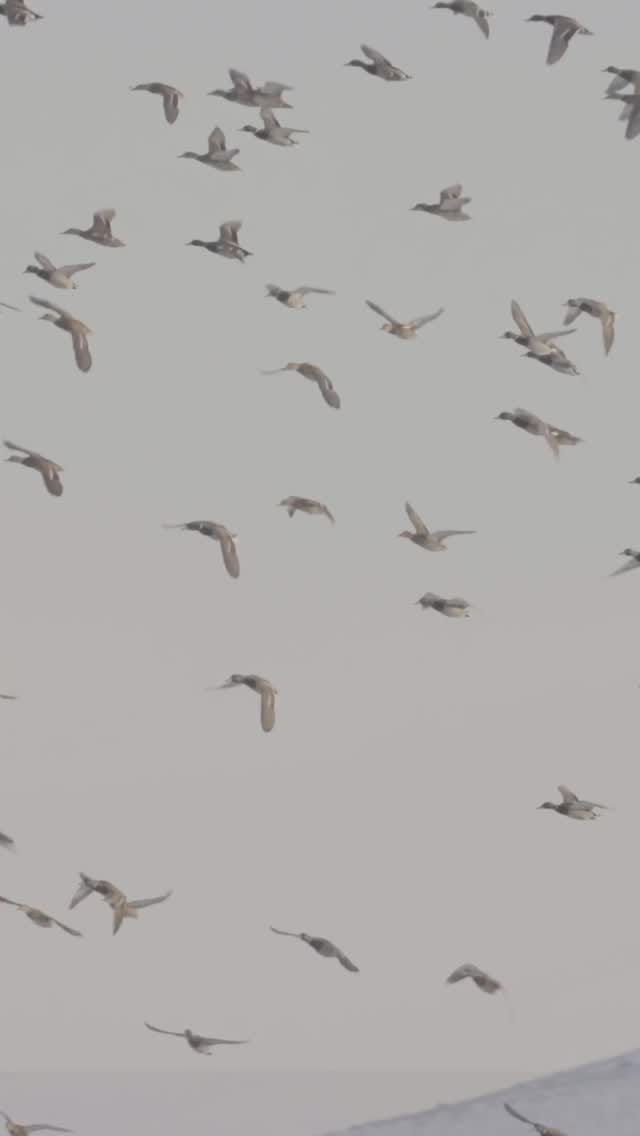 Post 2 by KICK-EEZ on Instagram (video)