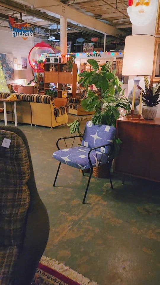 Post 5 by Back to the Fuchsia on Instagram (video)