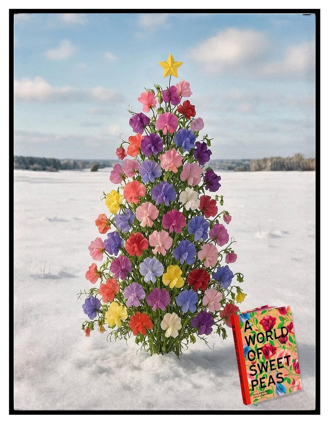 Post 6 by English Sweet Peas on Instagram (image)