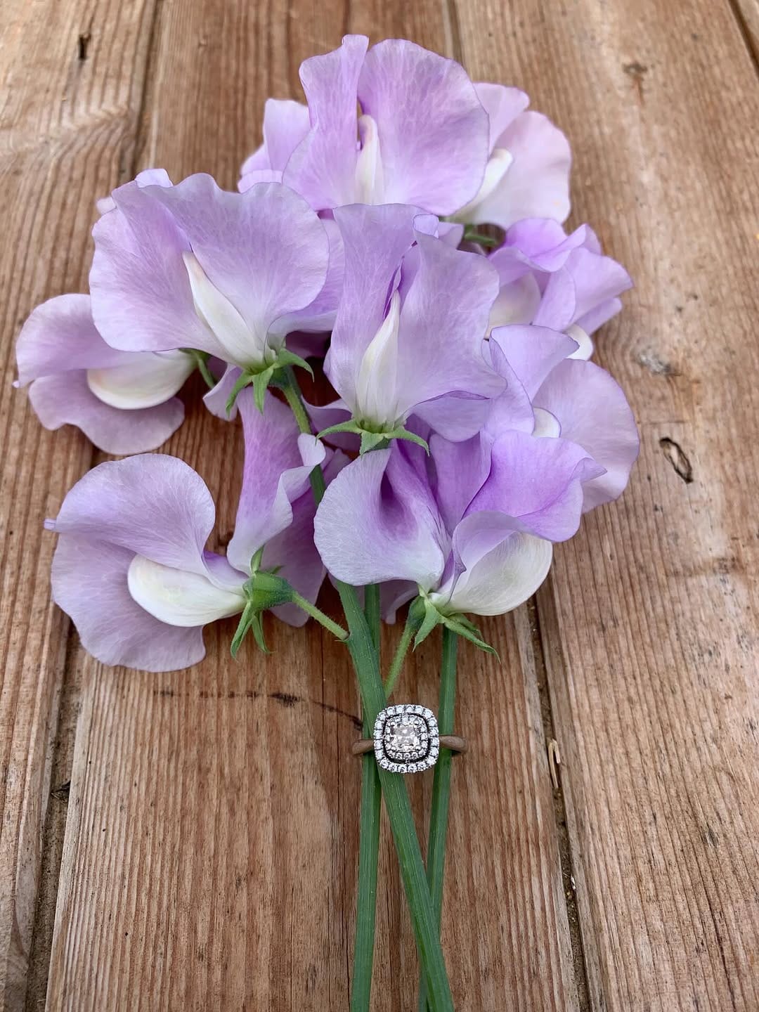 Post 3 by English Sweet Peas on Instagram (image)