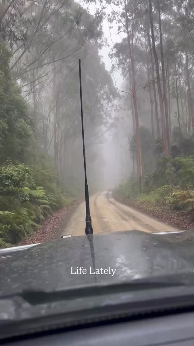Post 4 by Savant Apothecary on Instagram (video)